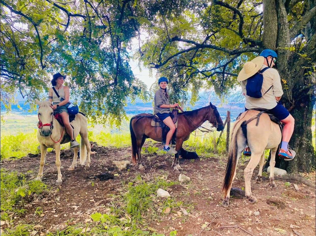 Descanso a la sombra durante la cabalgata