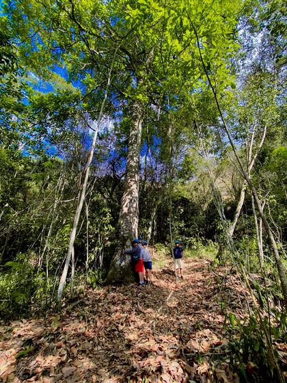Caminos del César | Recarga