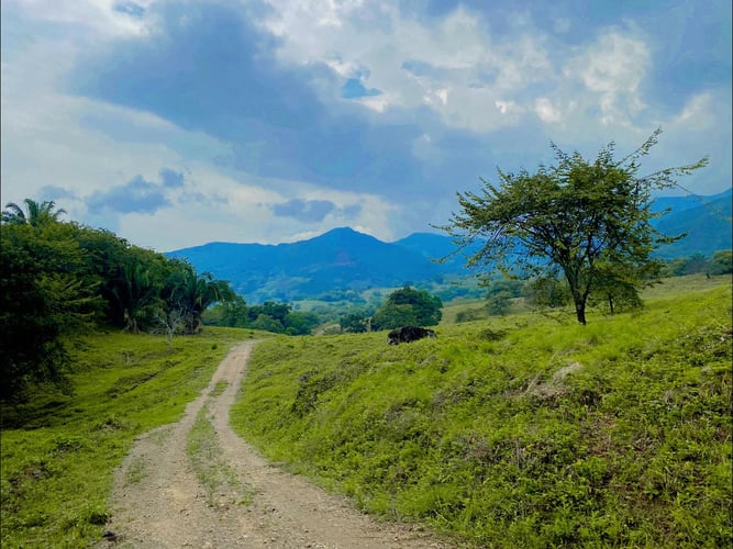 Caminos del César | Turismo en Neiva